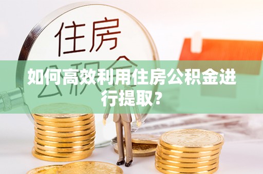 始兴如何高效利用住房公积金进行提取？