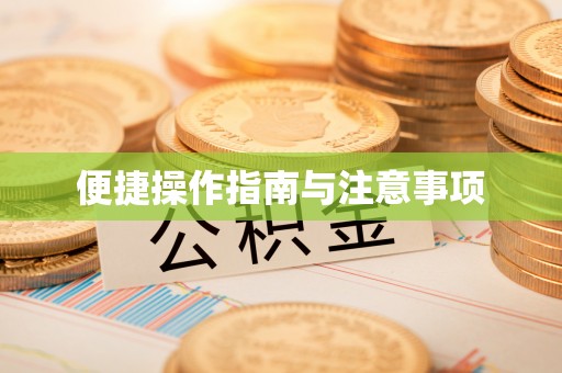 始兴便捷操作指南与注意事项